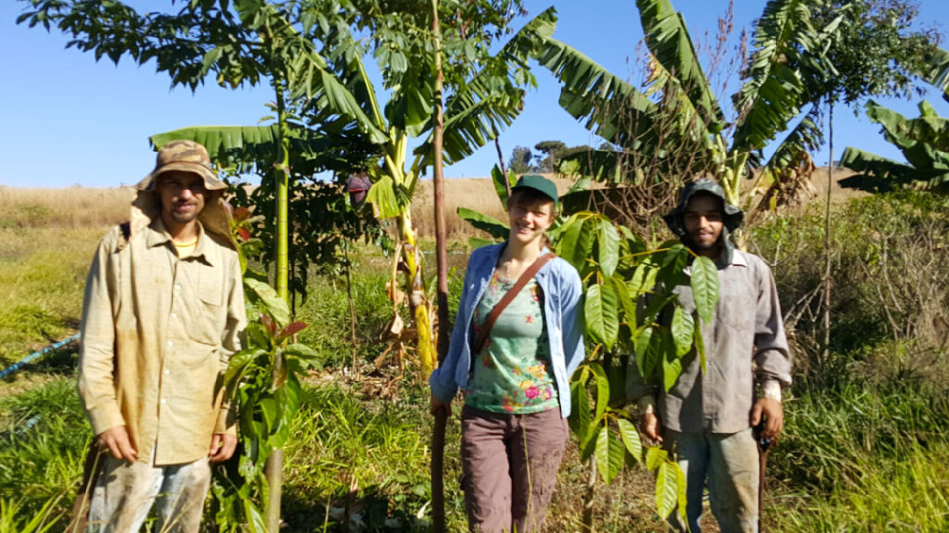 Sitio-Pe-na-Terra-Diagnostico-CSA1